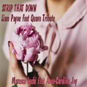 Strip That Down (Liam Payne, Quavo Tribute)