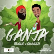 Ganja (feat. Shaggy)