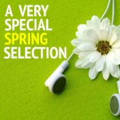 A Very Special Spring Selection