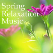 Spring Relaxation Music