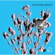 Fractured Beauty