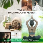 Top 111 Background Music (Gentle Sounds for Wedding, Ballet, Relaxation & Meditation, Tantric Sex, Spa, Massage)