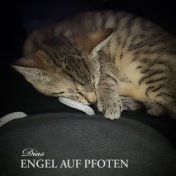 Engel auf Pfoten