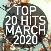 Top 20 Hits March 2020 (Instrumental)