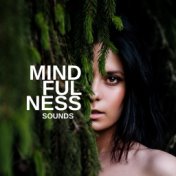 Mindfulness Sounds: Meditation, Yoga and Contemplation Music Mix 2020