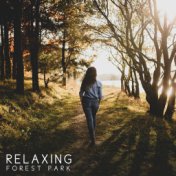 Relaxing Forest Park – Nature Sounds, Piano Melodies, Quiet Songs, New Age 2020