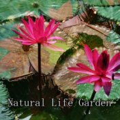 Natural Life Garden