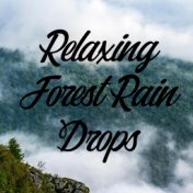 Relaxing Forest Rain Drops