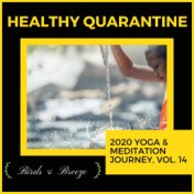 Healthy Quarantine - 2020 Yoga & Meditation Journey, Vol. 14