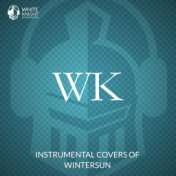 Instrumental Covers of Wintersun