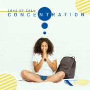 Zone of Calm Concentration  – Full Concentration, Inner Focus, Relaxed Brain, Calm Down, Stress Relief, Meditative New Learning ...