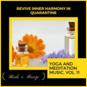 Revive Inner Harmony In Quarantine - Yoga And Meditation Music, Vol. 11