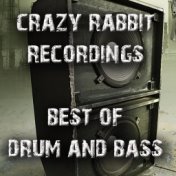 Crazy Rabbit Recordings: Best of Drum and Bass