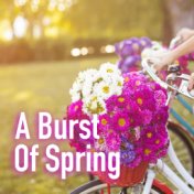 A Burst Of Spring