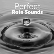 Perfect Rain Sounds