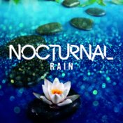 Nocturnal Rain
