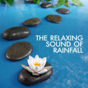 The Relaxing Sound of Rainfall