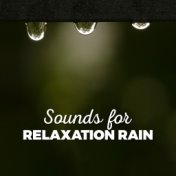 Sounds for Relaxation: Rain