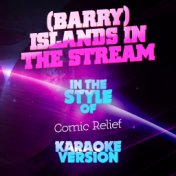 (Barry) Islands in the Stream (In the Style of Comic Relief) [Karaoke Version] - Single