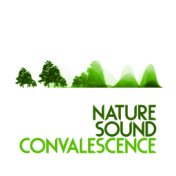 Nature Sound Convalescence