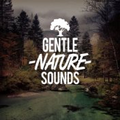 Gentle Nature Sounds