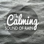 The Calming Sound of Rain