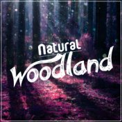 Natural Woodland