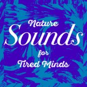 Nature Sounds for Tired Minds