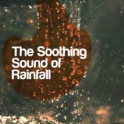 The Soothing Sound of Rainfall
