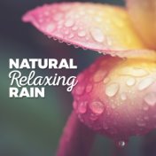 Natural Relaxing Rain