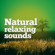 Natural Relaxing Sounds