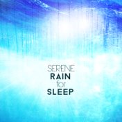 Serene Rain for Sleep