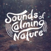 Sounds of Calming Nature