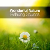 Wonderful Nature: Relaxing Sounds