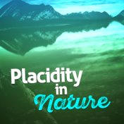Placidity in Nature