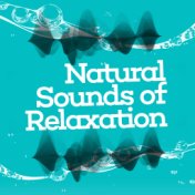 Natural Sounds of Relaxation