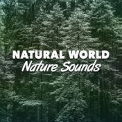 Natural World: Nature Sounds