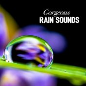 Gorgeous Rain Sounds