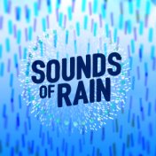 Sounds of Rain: Relaxing Rain, Sounds of Nature, Spa Music, Calm Mind, Focus and Clarity
