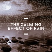 The Calming Effect of Rain