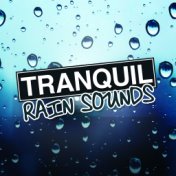 Tranquil Rain Sounds