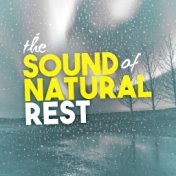 The Sound of Natural Rest