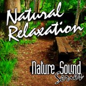Natural Relaxation (Nature Sounds)