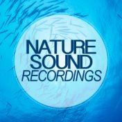 Nature Sound Recordings