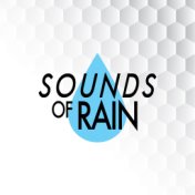 Sound of Rain