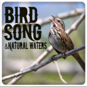 Bird Song and Natural Waters