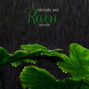 Naturally Wet: Rain Sounds