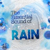 The Essential Sound of Rain