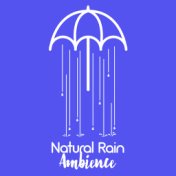 Natural Rain Ambience