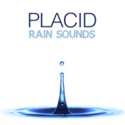 Placid Rain Sounds
